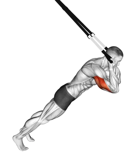 Suspension Triceps Extension — movement illustration 1