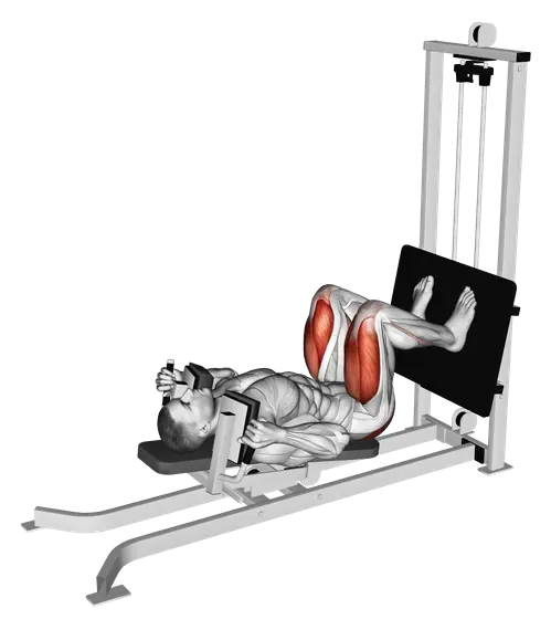 Sled Lying Squat — movement illustration 1