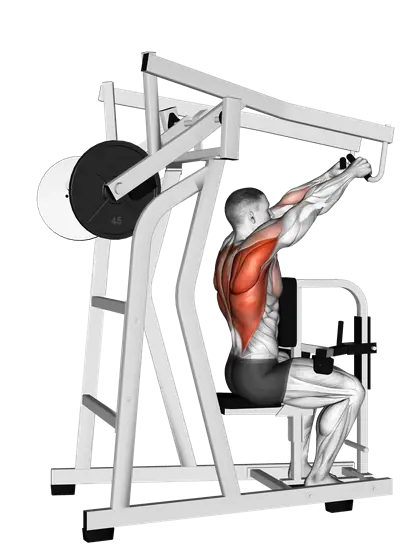 Plate-Loaded High Row — movement illustration 1