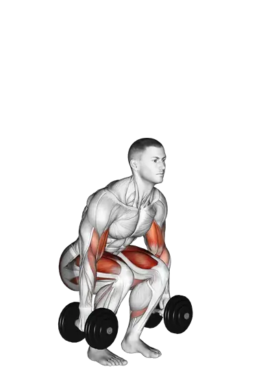 Dumbbell Biceps Curl Squat — movement illustration 1