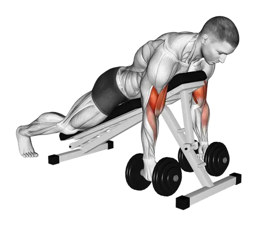 Dumbbell Spider Curl — movement illustration 1