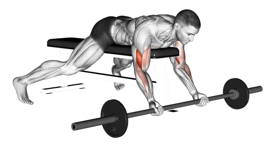 Barbell Lying Preacher Curl — movement illustration 1
